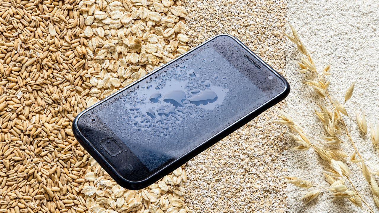 ARENA DE GATOS: CEREALES y ARROZ para tu MÓVIL MOJADO 2 arena de gatos cereales y arroz para tu movil mojado