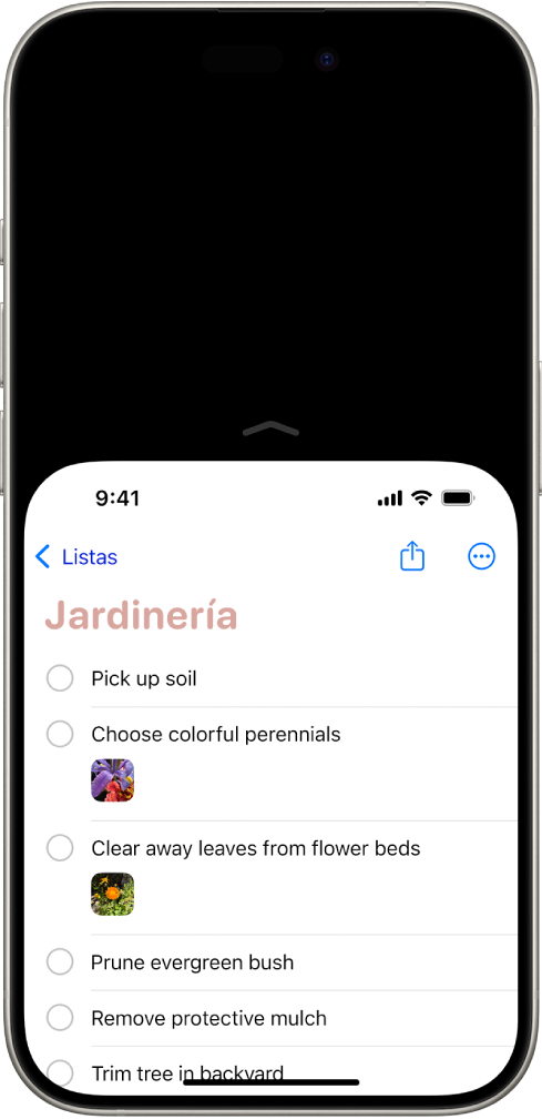 Cómo DIVIDIR PANTALLA en iPhone: ¡Descubre el SECRETO! 2 como dividir pantalla en iphone descubre el secreto