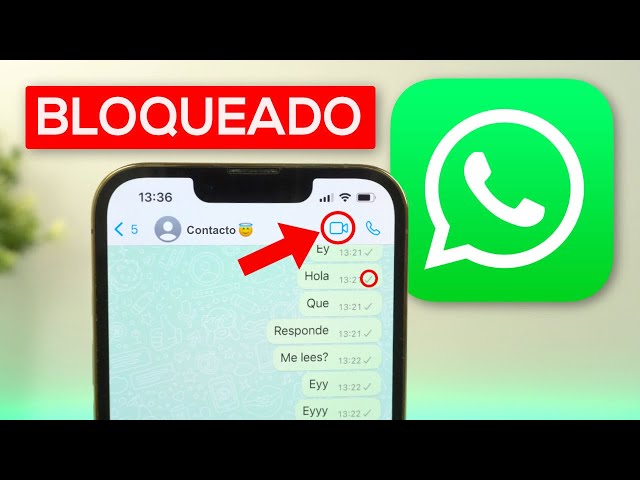 CÓMO SABER si me han BLOQUEADO en WHATSAPP ¡Descúbrelo! 2 como saber si me han bloqueado en whatsapp descubrelo