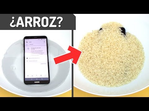 Cómo Secar un Celular Mojado: ¡Trucos Rápidos y Efectivos! 2 como secar un celular mojado trucos rapidos y efectivos