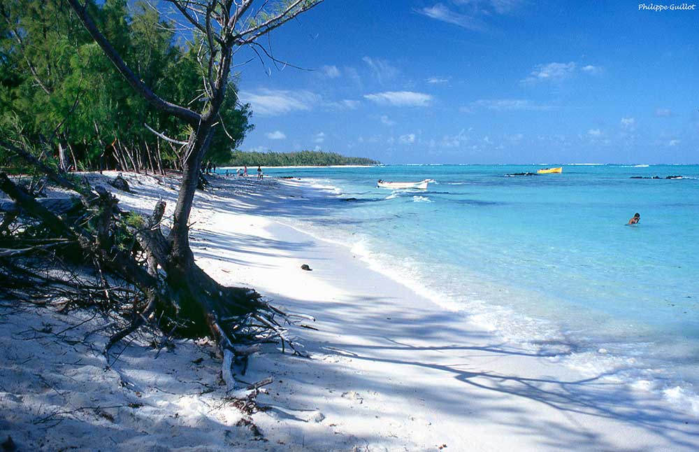 Descubre si las Playas Están Llenas: Tips Clave para Tu Visita 2 descubre si las playas estan llenas tips clave para tu visita