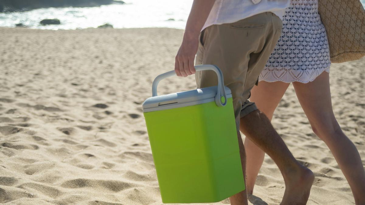 enemigo en casa por que la nevera de playa es peligrosa