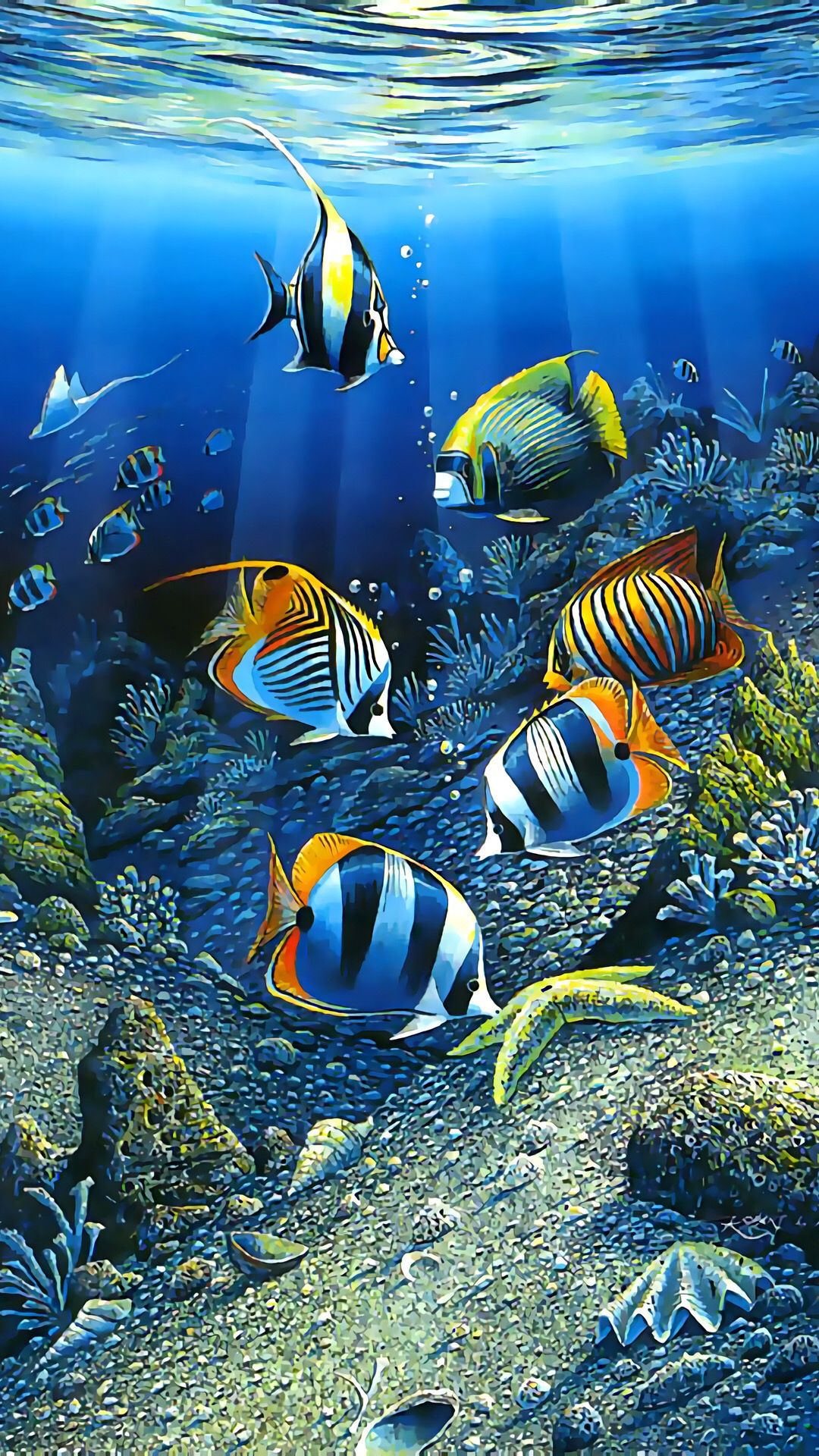 fondo de pantalla de peces descubre el secreto aqui