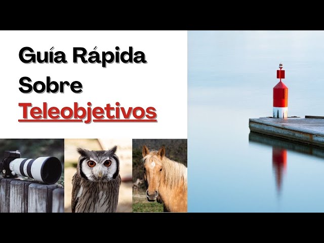 Fotos con Teleobjetivo: Trucos Increíbles que Sorprenderán 2 fotos con teleobjetivo trucos increibles que sorprenderan
