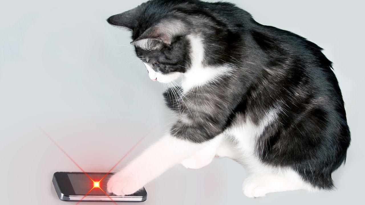 LÁSER PARA GATOS: ¡Transforma tu TELÉFONO en JUEGO! 2 laser para gatos transforma tu telefono en juego