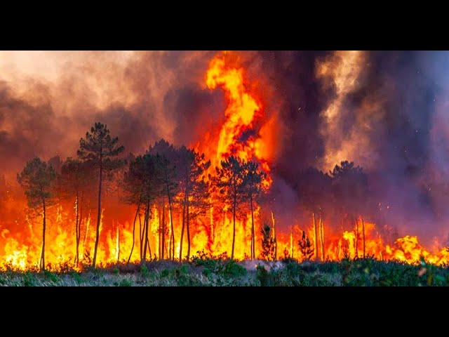 Ola de INCENDIOS: Protege tu AIRE con esta APP 2 ola de incendios protege tu aire con esta app