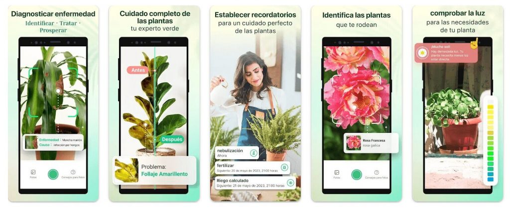 Plant Parent: DESCUBRE el SECRETO para PLANTAS HERMOSAS 2 plant parent descubre el secreto para plantas hermosas