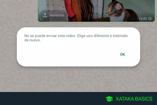 Por Qué No Aparecen tus Vídeos en WhatsApp Soluciones Aquí 2 por que no aparecen tus videos en whatsapp soluciones aqui