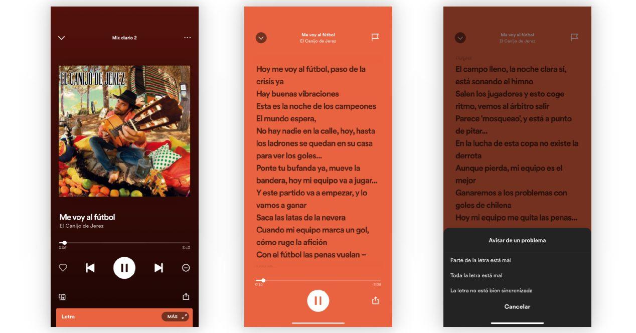 POR QUÉ NO SALEN LAS LETRAS DE LAS CANCIONES EN SPOTIFY 2 por que no salen las letras de las canciones en spotify