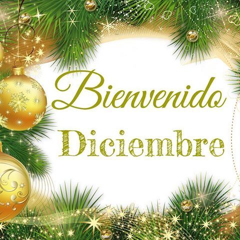 Portadas de WhatsApp para Diciembre: ¡Sorpréndete Ya! 2 portadas de whatsapp para diciembre sorprendete ya