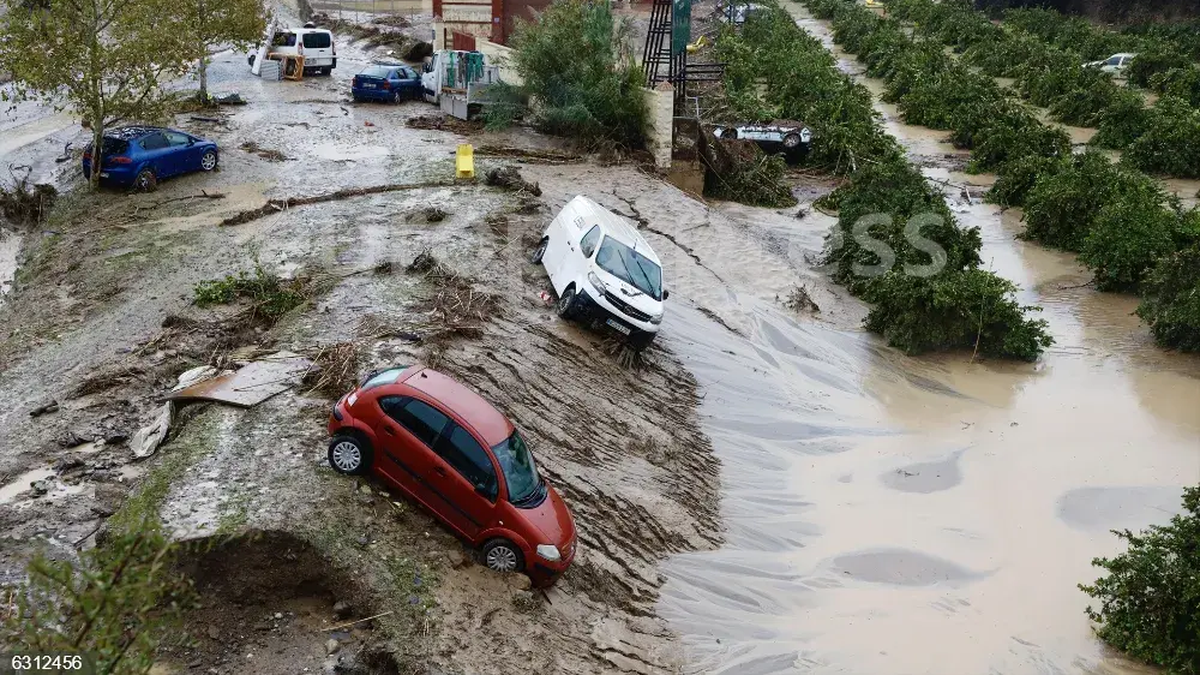 Prepárate: ¡DANA en ESPAÑA trae RANA de LLUVIA! 2 preparate dana en espana trae rana de lluvia