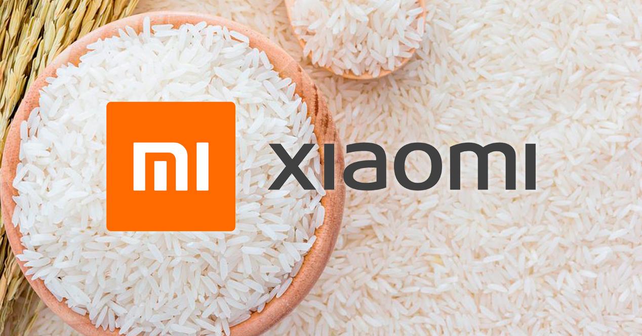 que significa xiaomi descubre su increible significado
