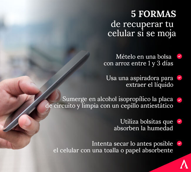 Tu celular se mojó Descubre soluciones efectivas aquí 2 tu celular se mojo descubre soluciones efectivas aqui