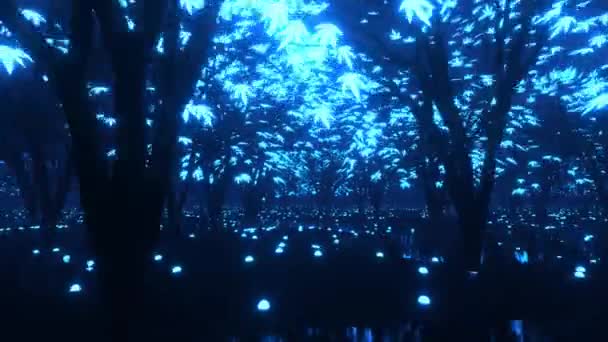 VÍDEOS DE NOCHE: Captura MAGIA en la OSCURIDAD 2 videos de noche captura magia en la oscuridad