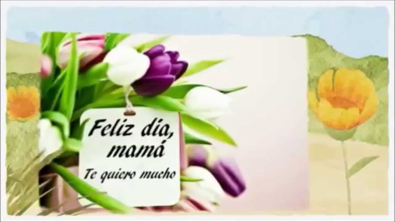 VIDEOs y FRASES para el DÍA DE LA MADRE por WHATSAPP 2 videos y frases para el dia de la madre por whatsapp